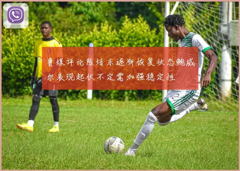 鲁媒评论陈培东逐渐恢复状态鲍威尔表现起伏不定需加强稳定性