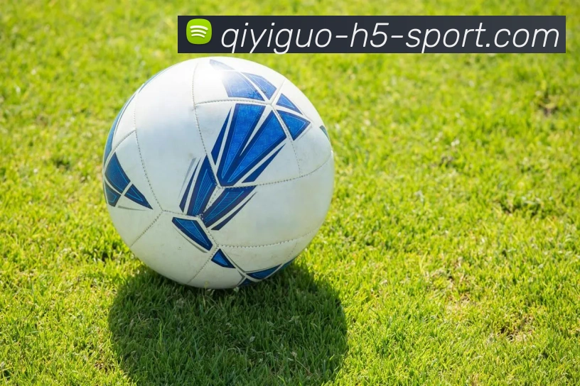 奇异果体育平台生态图