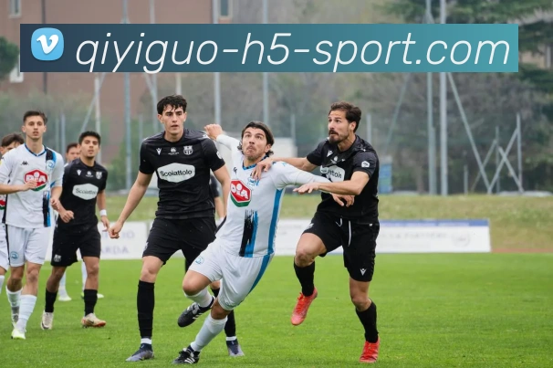 奇异果体育全站App